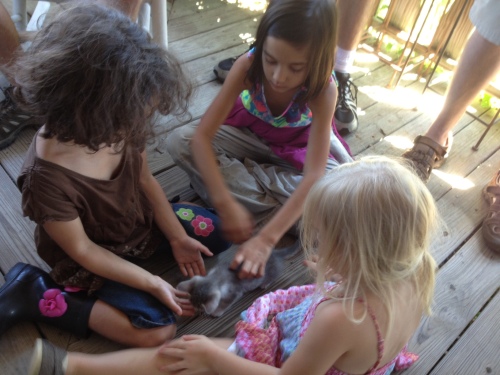 The little ones on the Alabama Farm Tour found a little one to play with at Petals From the Past. The kitty's name is Ghost. (Photo by Jim Ewing)