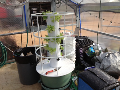 While not a major component of the EAT South Downtown Farm, hydroponics is on display. Here's a small vertical unit. (Photo by Jim Ewing)