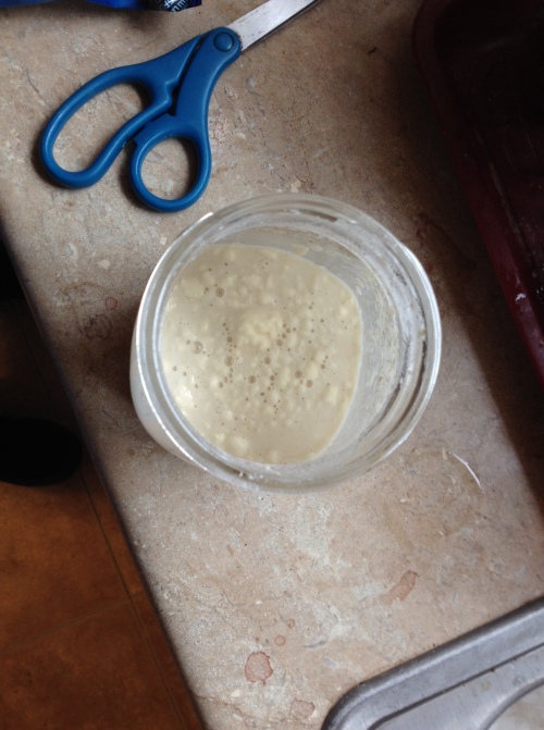 Here's some bubbly sourdough starter just right for starting a new loaf of fresh homemade bread. (Photo by Jim Ewing)